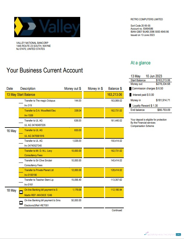 Download Valley National Bank business statement Word and PDF template Photoshop template